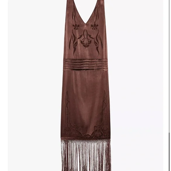 Zara Brown Maxi Dress with Fringe - Picture 4 of 6